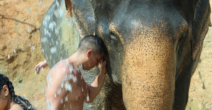 Michael Langell Traveled to Thailand to See Elephants in the Wild